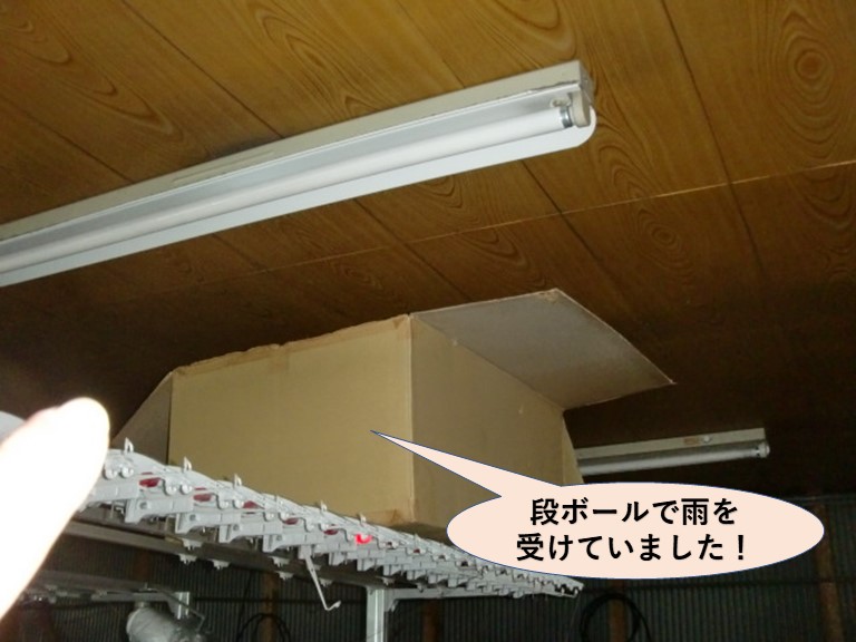 岸和田市の倉庫の雨漏りで段ボールで雨を受けていました！