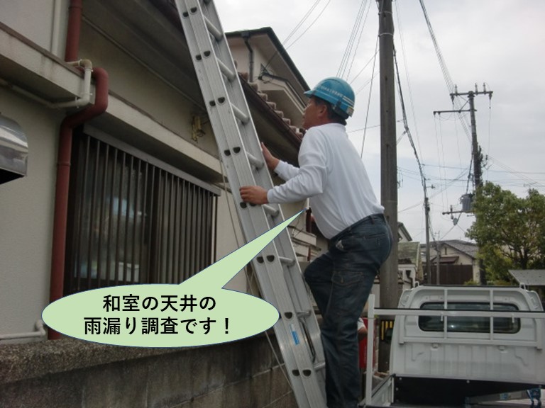 岸和田市の和室の天井の雨漏り調査