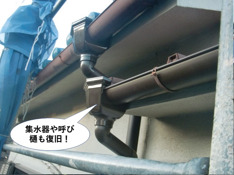 泉大津市の集水器や呼び樋も復旧