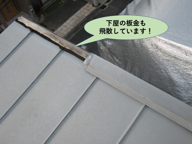 貝塚市の下屋の板金も飛散
