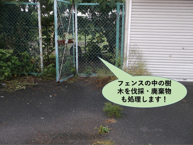 岸和田市のフェンスの中の樹木を伐採