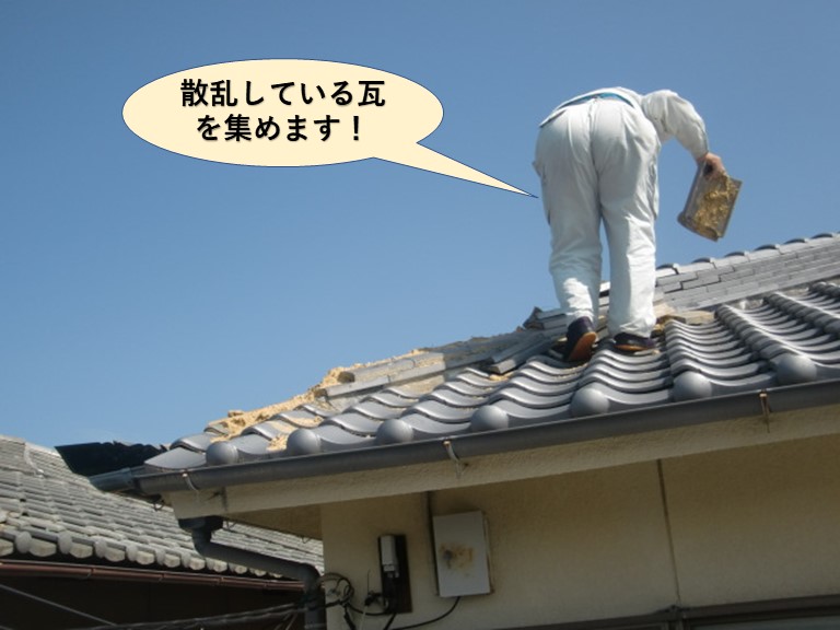 泉大津市の散乱している瓦を集めます