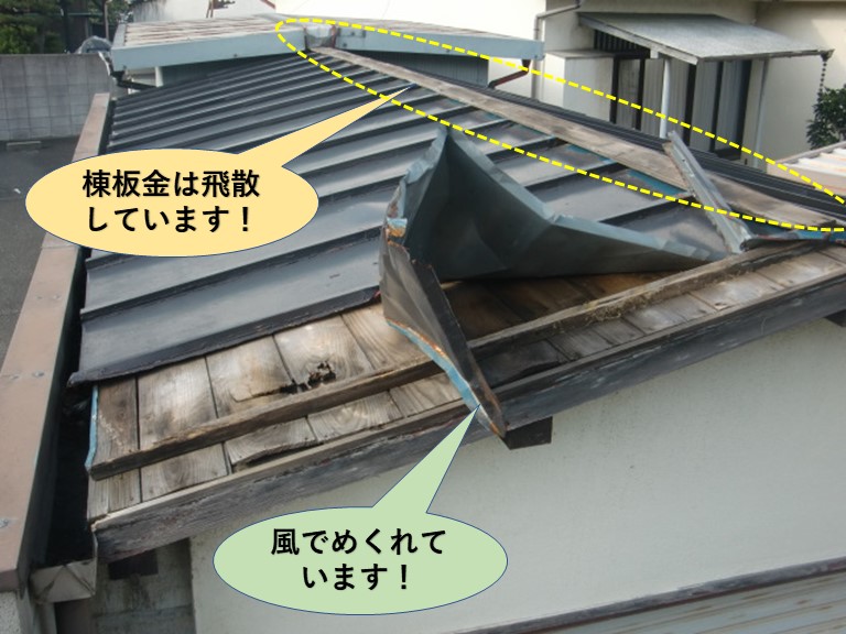泉北郡忠岡町の台風の影響で屋根の板金が飛散