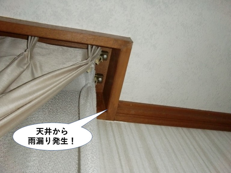 泉南市の1階の天井から雨漏り発生