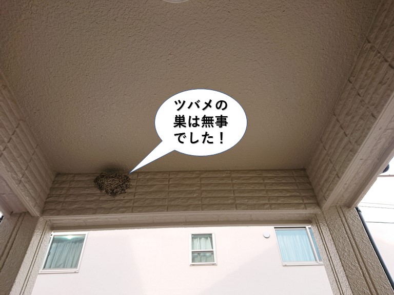 岸和田市のツバメの巣は無事でした