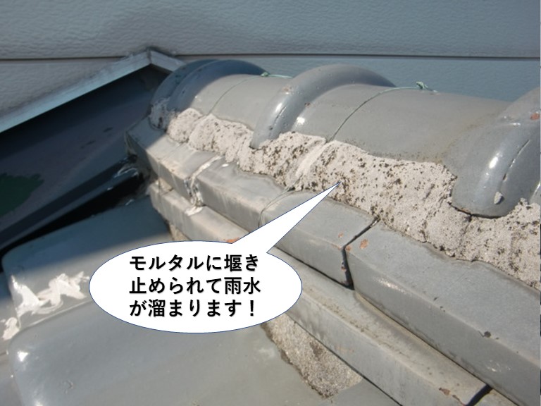 忠岡町の棟がモルタルに堰き止められて雨水が溜まります