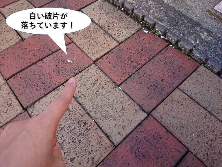 岸和田市の土間に白い破片が落ちています
