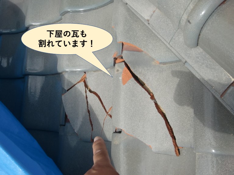 阪南市の下屋の瓦も割れています