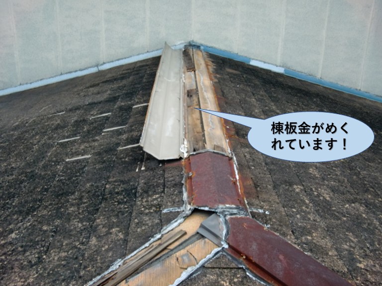 和泉市の棟板金がめくれています