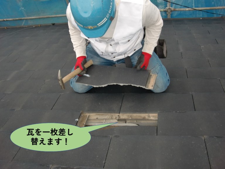 阪南市の瓦を一枚差し替えます！