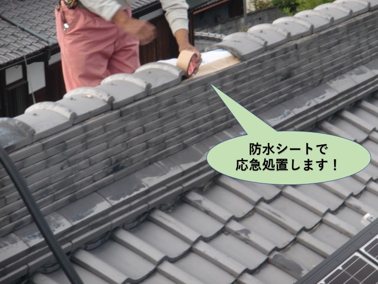 岸和田市の大屋根の棟に防水シートで応急処置