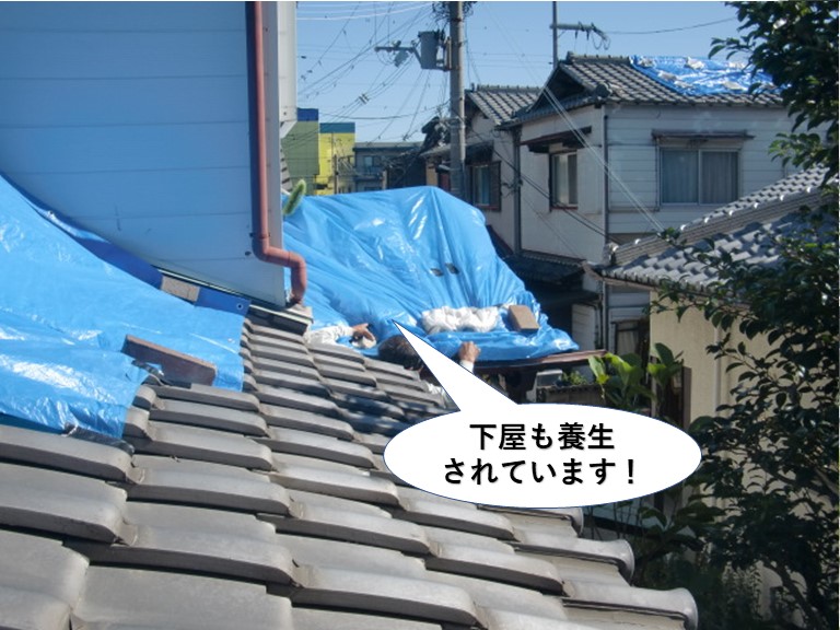 貝塚市の下屋も養生されています