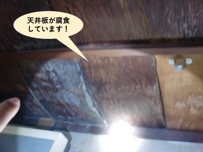 岸和田市の天井板が腐食しています