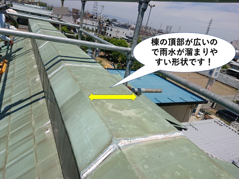 岸和田市の棟の頂部が広いので雨水が溜まりやすい形状です