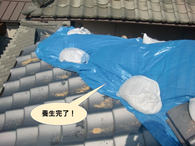泉大津市の降り棟の養生完了