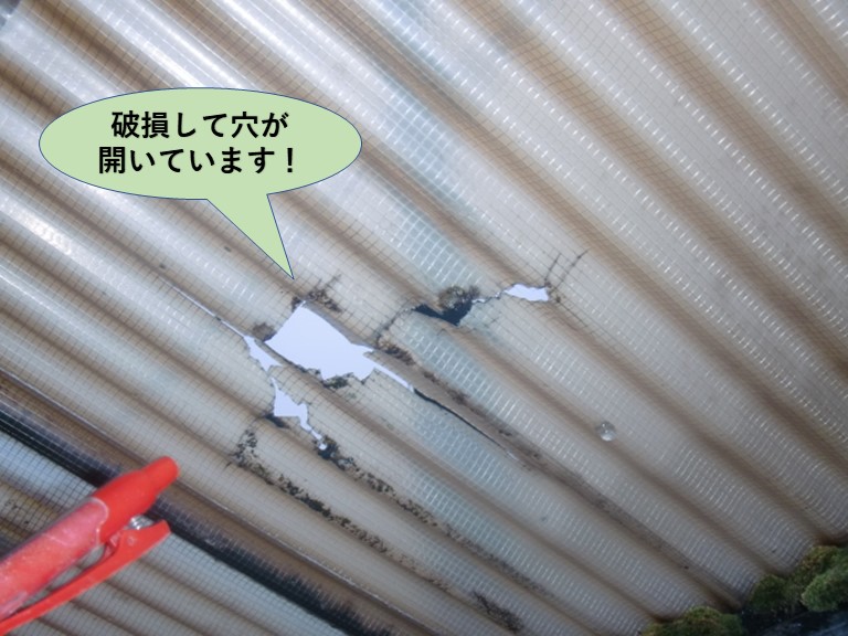 岸和田市の波板が破損して穴が開いています