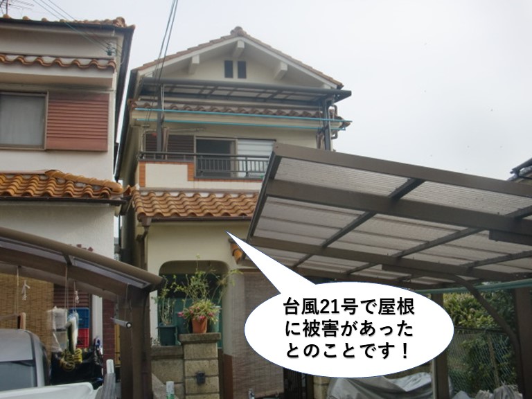 泉南市の台風被害の現地調査