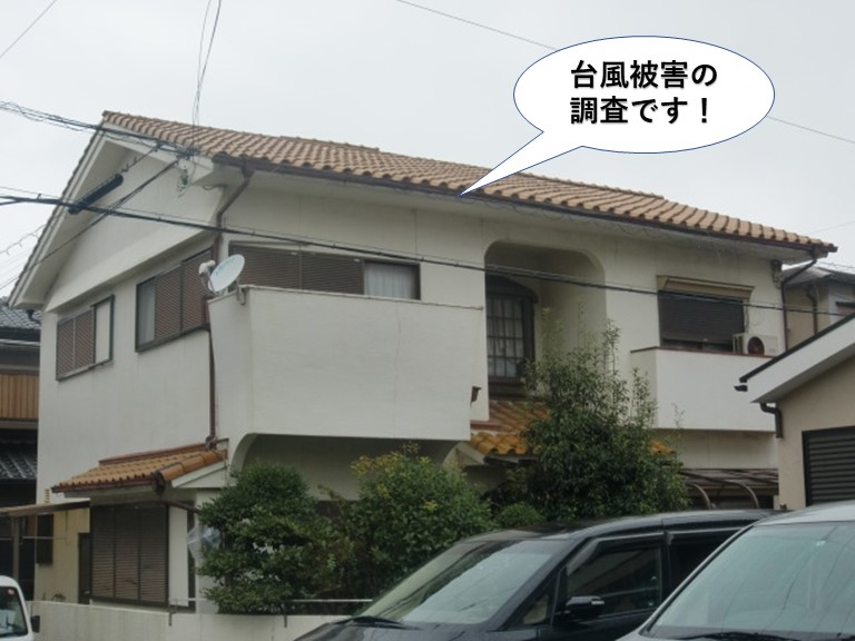 和泉市の台風被害の現地調査