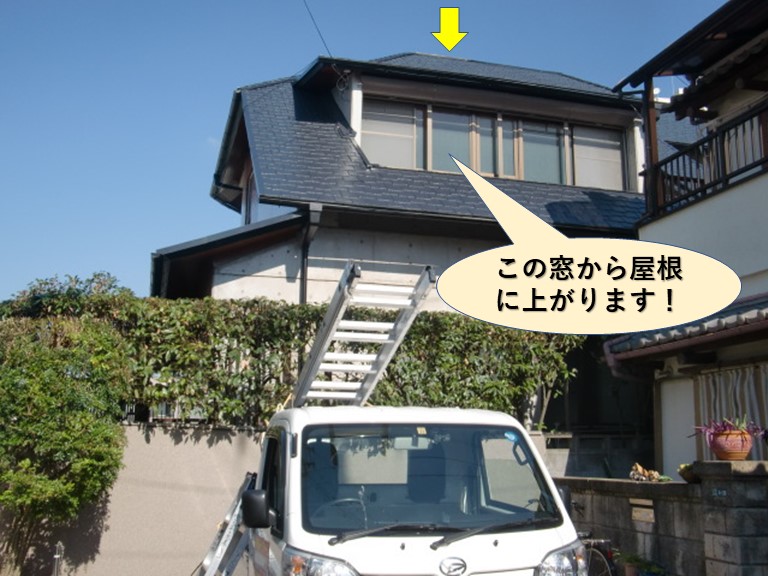 岸和田市の台風被害の現地調査