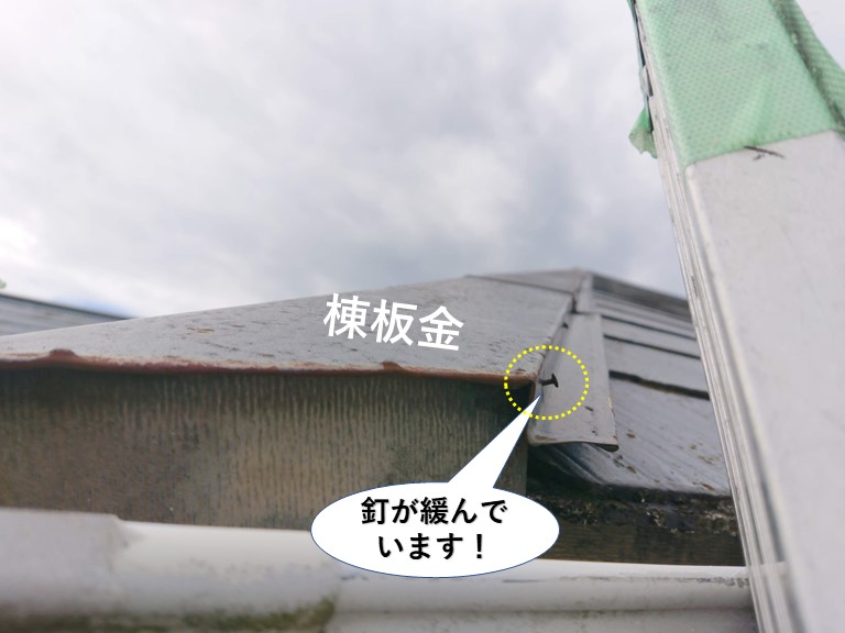 忠岡町の棟板金を固定している釘が緩んでいます