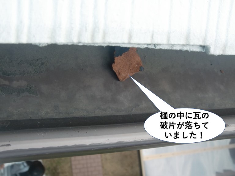 泉南市の樋の中に瓦の破片が落ちていました！