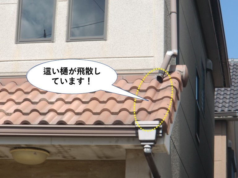 貝塚市の這い樋が飛散しています