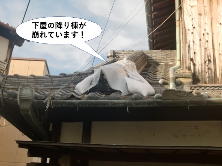 泉北郡忠岡町の下屋の降り棟が一部崩れています