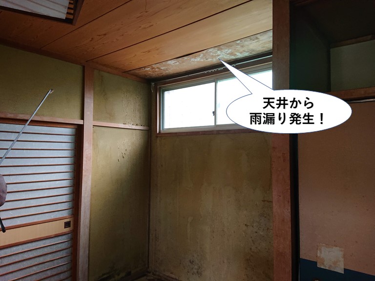 岸和田市の１階の和室の天井から雨漏り発生！