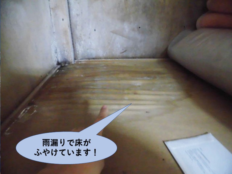 泉佐野市の雨漏りで押し入れの床がふやけています