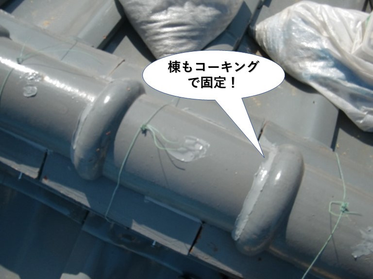 忠岡町の棟もコーキングで固定