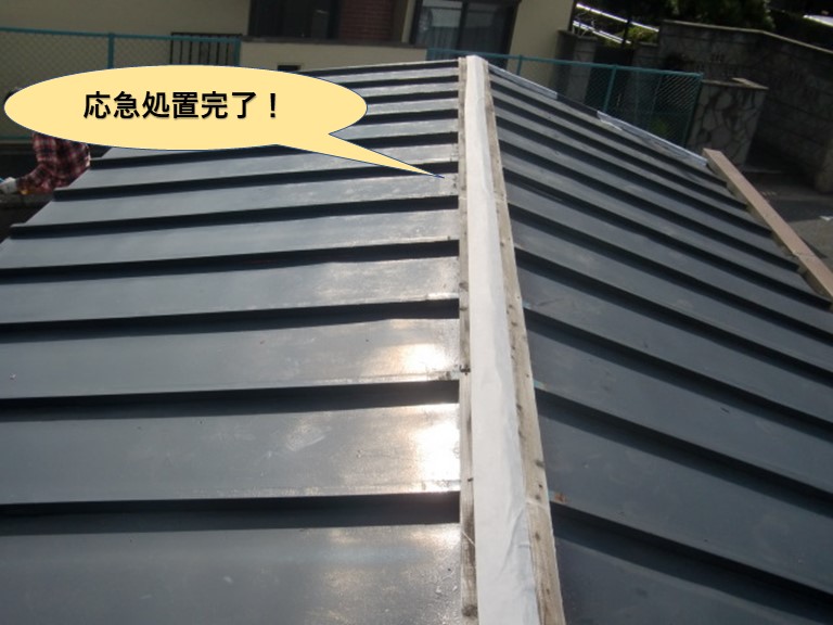 泉北郡忠岡町の車庫の屋根の応急処置完了