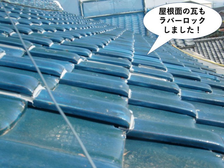 岸和田市の屋根面の瓦もラバーロックしました