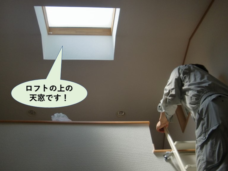 泉大津市のロフトの上の天窓で雨漏り発生