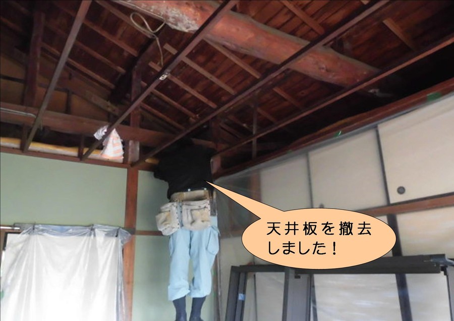 泉北郡忠岡町で和室の天井板撤去