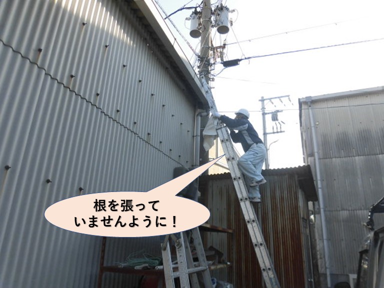 岸和田市の雨樋を清掃します！