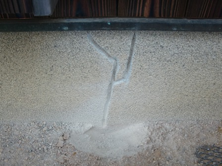 岸和田市東大路町の和瓦の屋根葺き替え工事 8日目