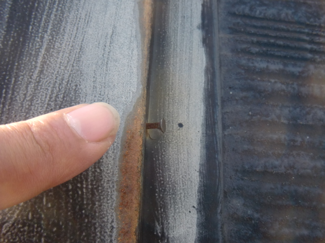 岸和田市岡山町の抜けかかった屋根の棟板金の釘