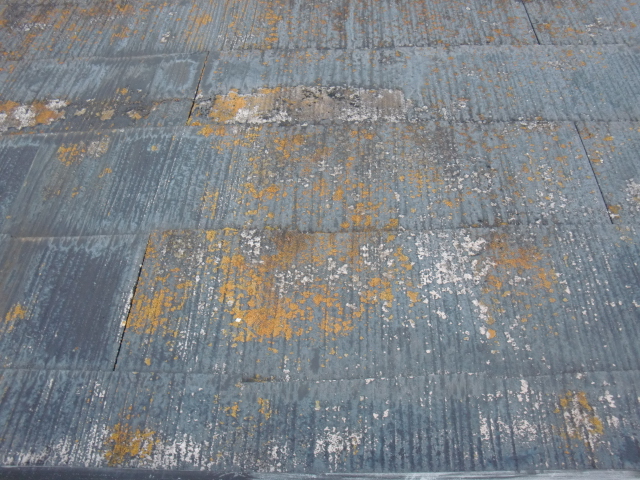 岸和田市岡山町の苔が生えたスレート瓦