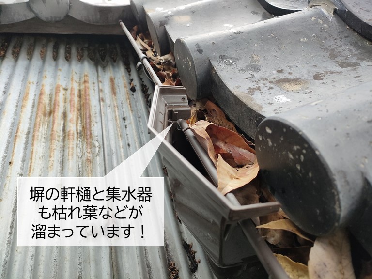 泉大津市の塀の雨樋に枯れ葉が溜まっています