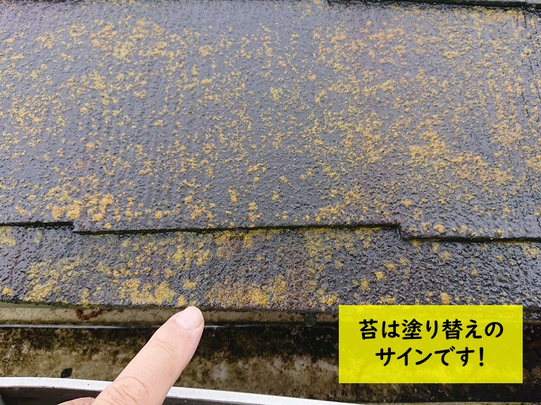 スレートに生えた苔は塗り替えのサインです