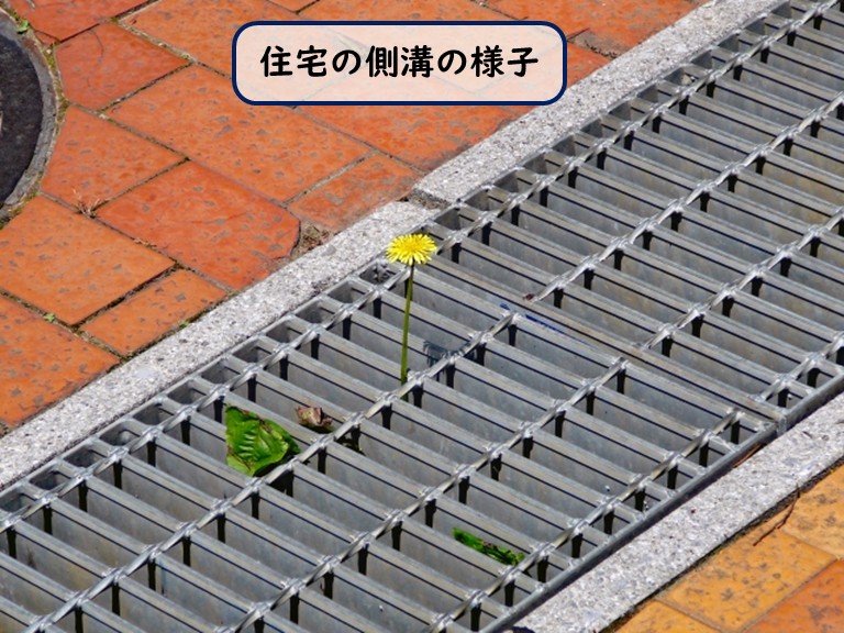 住宅の側溝の様子