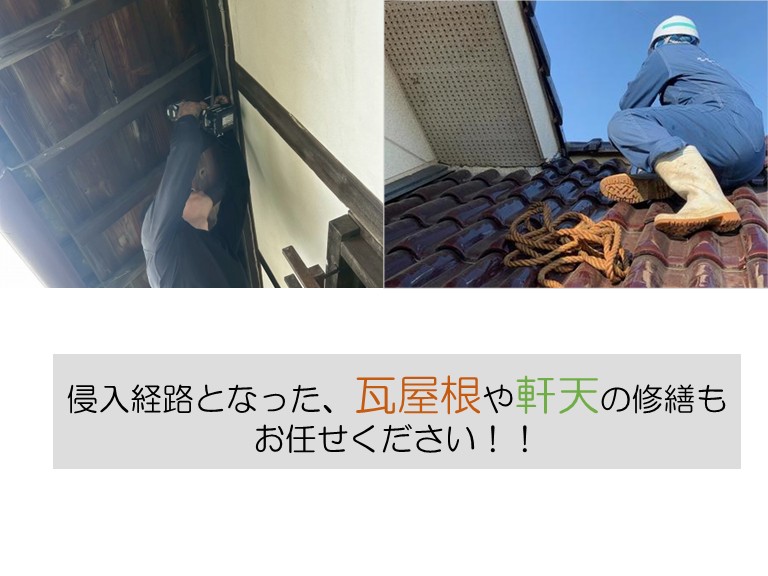 侵入経路となった瓦屋根や軒天の修繕もお任せください