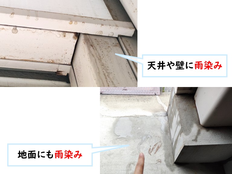 和泉市 天井や壁や地面に雨染み