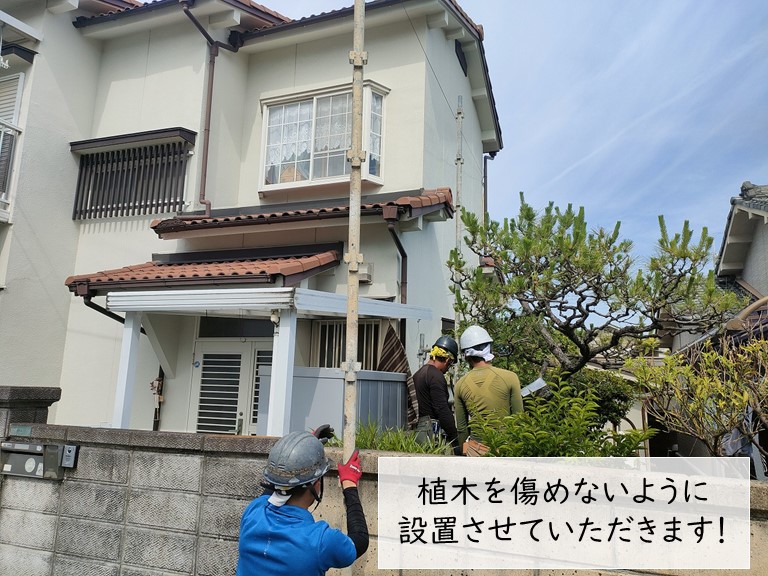 和泉市でお隣の植木を傷めないように足場を設置