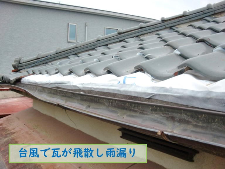 和泉市で台風で瓦が飛散し雨漏り