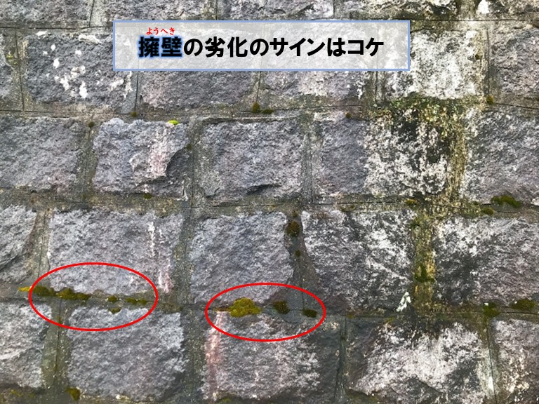 和泉市で擁壁の劣化のサイン