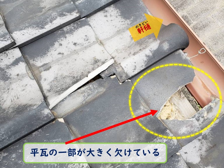 和泉市で風災害平瓦の一部が大きく欠けている