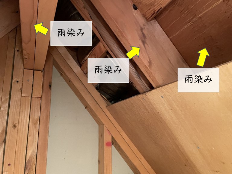 和泉市の小屋裏で雨染みが！