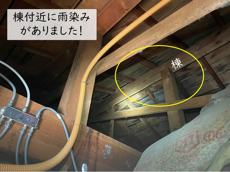 和泉市の小屋裏に雨染みがありました