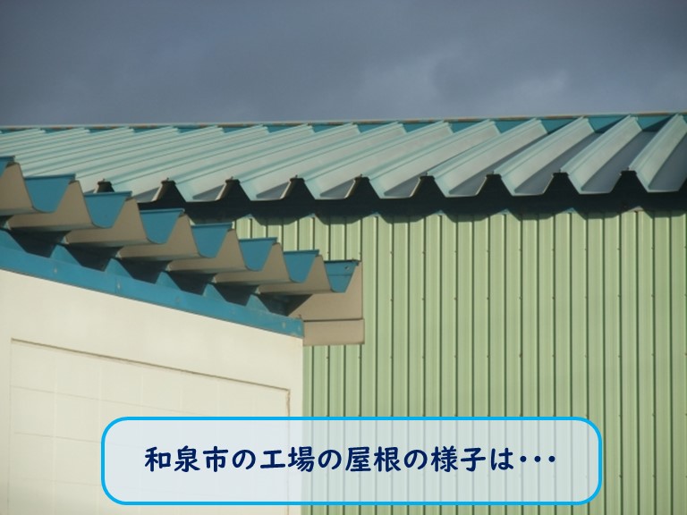 和泉市の工場の屋根の様子は